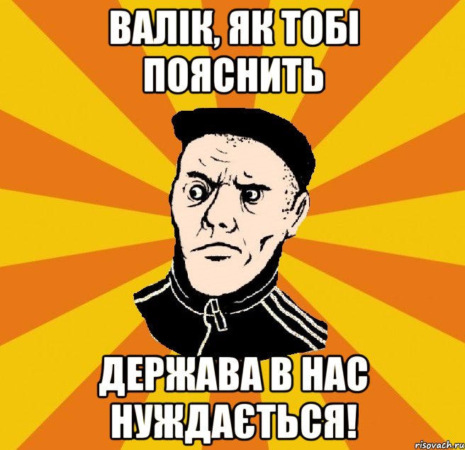 Валік, як тобі пояснить держава в нас нуждається!, Мем Типовий Титушка