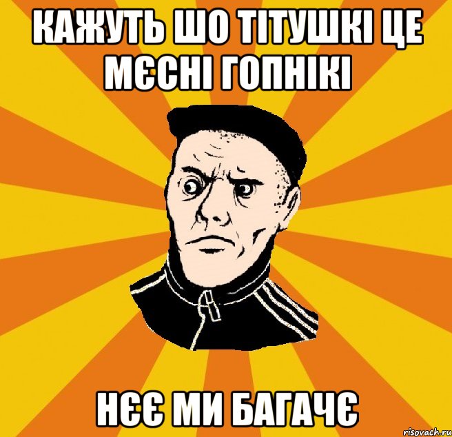 кажуть шо тітушкі це мєсні гопнікі нєє ми багачє, Мем Типовий Титушка