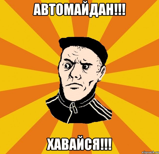 Автомайдан!!! Хавайся!!!, Мем Типовий Титушка