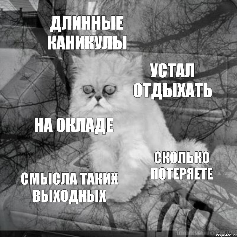 длинные каникулы устал отдыхать на окладе Сколько потеряете смысла таких выходных, Комикс  кот безысходность