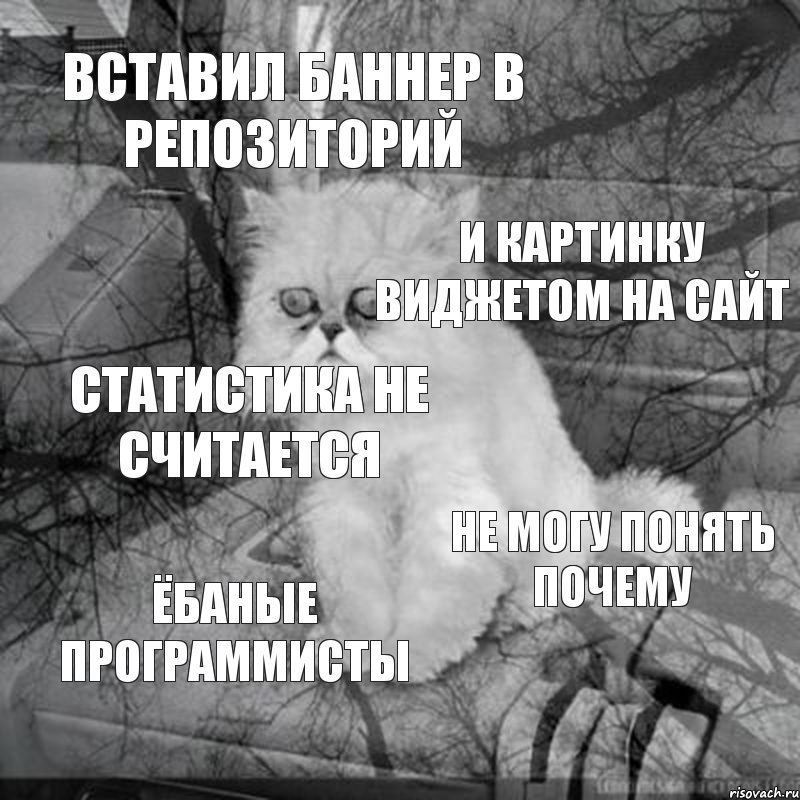 Вставил баннер в репозиторий И картинку виджетом на сайт Статистика не считается Не могу понять почему Ёбаные программисты, Комикс  кот безысходность