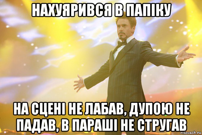 Нахуярився в папіку На сцені не лабав, дупою не падав, в параші не стругав, Мем Тони Старк (Роберт Дауни младший)