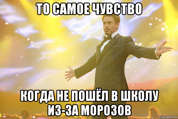 то самое чувство когда не пошёл в школу из-за морозов, Мем Тони Старк (Роберт Дауни младший)