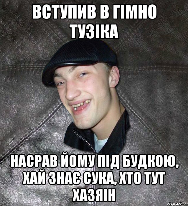 вступив в гімно тузіка насрав йому під будкою, хай знає сука, хто тут хазяін, Мем Тут Апасна