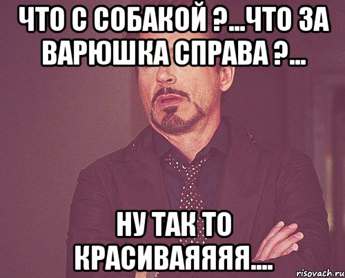 Что с собакой ?...Что за варюшка справа ?... Ну так то красиваяяяя...., Мем твое выражение лица