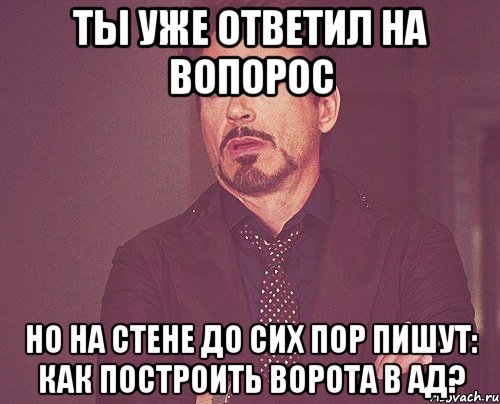 ТЫ УЖЕ ОТВЕТИЛ НА ВОПОРОС НО НА СТЕНЕ ДО СИХ ПОР ПИШУТ: КАК ПОСТРОИТЬ ВОРОТА В АД?, Мем твое выражение лица