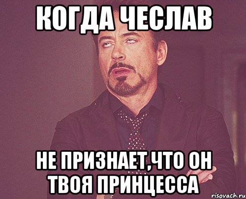 КОГДА ЧЕСЛАВ НЕ ПРИЗНАЕТ,ЧТО ОН ТВОЯ ПРИНЦЕССА, Мем твое выражение лица