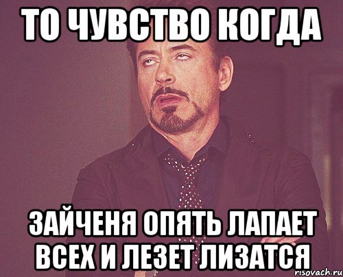 То чувство когда Зайченя опять лапает всех и лезет лизатся, Мем твое выражение лица