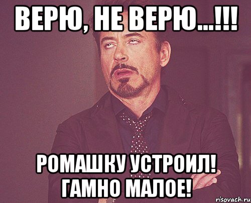 Верю, не верю...!!! Ромашку устроил! Гамно малое!, Мем твое выражение лица