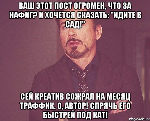 Ваш этот пост огромен, что за нафиг? И хочется сказать: "Идите в сад!" Сей креатив сожрал на месяц траффик. О, автор! Спрячь его быстрей под кат!, Мем твое выражение лица