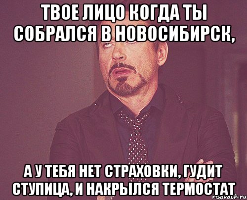 Твое лицо когда ты собрался в Новосибирск, а у тебя нет страховки, гудит ступица, и накрылся термостат, Мем твое выражение лица