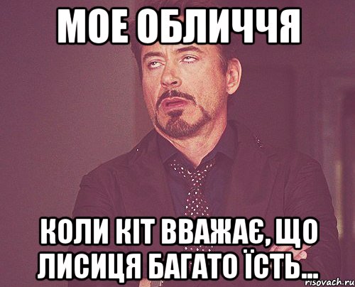 МОЕ ОБЛИЧЧЯ коли кіт вважає, що лисиця багато їсть..., Мем твое выражение лица