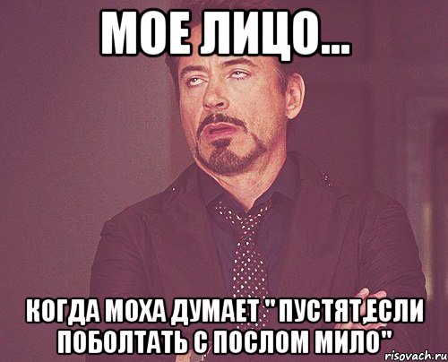 мое лицо... когда моха думает " Пустят,если поболтать с послом мило", Мем твое выражение лица