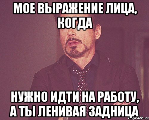 Мое выражение лица, когда Нужно идти на работу, а ты ленивая задница, Мем твое выражение лица