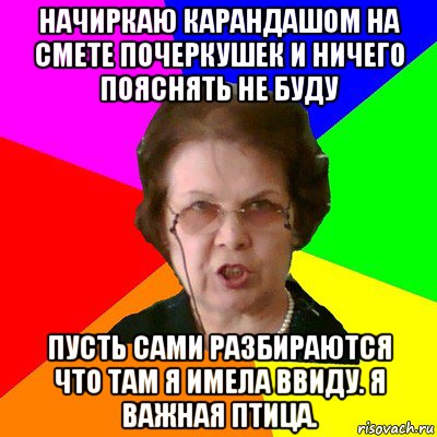 Начиркаю карандашом на смете почеркушек и ничего пояснять не буду Пусть сами разбираются что там я имела ввиду. Я важная птица., Мем Типичная училка