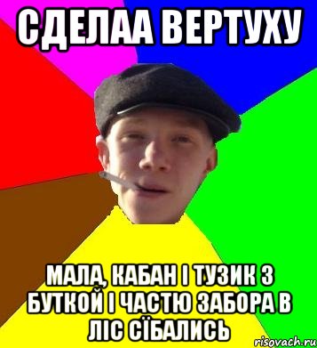 сделаа вертуху мала, кабан і тузик з буткой і частю забора в ліс сїбались, Мем умный гопник