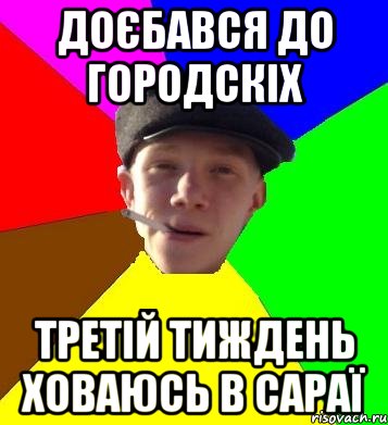 доєбався до городскіх третій тиждень ховаюсь в сараї, Мем умный гопник