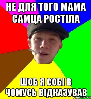 Не для того мама самца ростіла шоб Я собі в чомусь відказував, Мем умный гопник