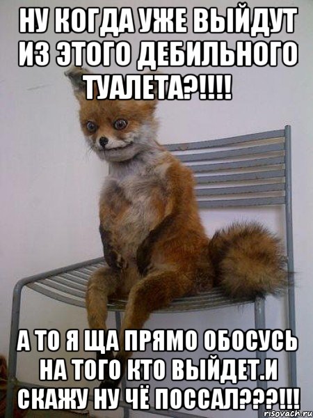 Ну когда уже выйдут из этого дебильного туалета?!!!! А то я ща прямо обосусь на того кто выйдет.И скажу ну чё поссал???!!!, Мем Упоротая лиса