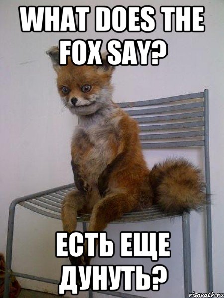 What does the fox say? Есть еще дунуть?, Мем Упоротая лиса