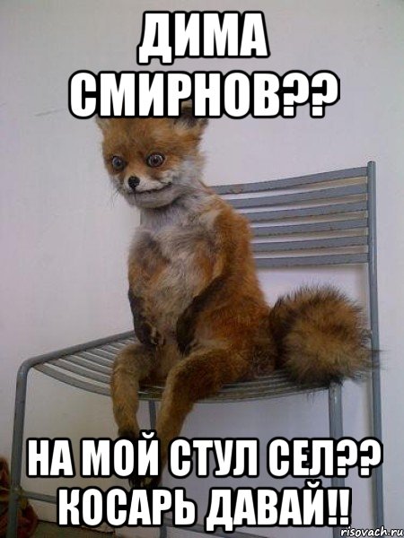 дима смирнов?? на мой стул сел?? косарь давай!!, Мем Упоротая лиса