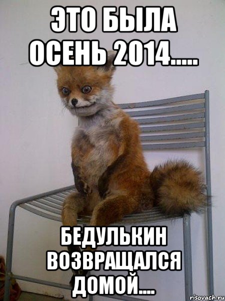 ЭТО БЫЛА ОСЕНЬ 2014..... БЕДУЛЬКИН ВОЗВРАЩАЛСЯ ДОМОЙ...., Мем Упоротая лиса