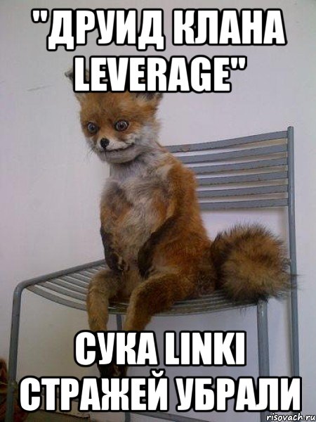 "Друид клана leverage" Сука Linki стражей убрали, Мем Упоротая лиса