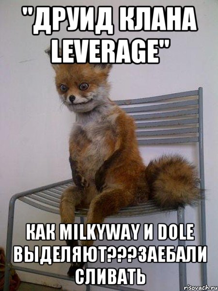 "Друид клана leverage" Как MilkyWay и Dole Выделяют???Заебали сливать, Мем Упоротая лиса