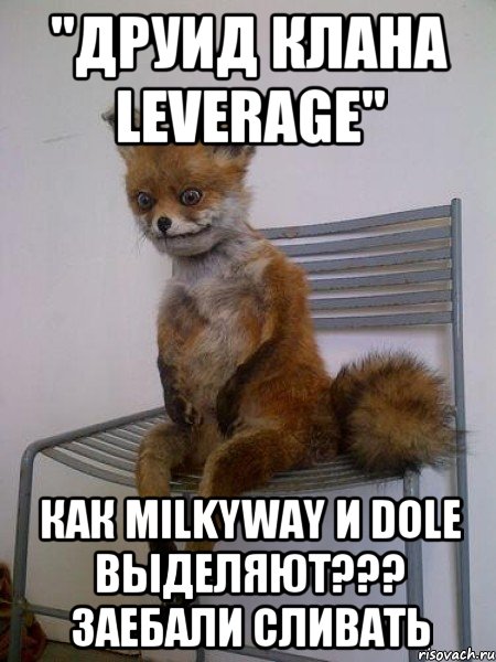 "Друид клана leverage" Как MilkyWay и Dole Выделяют??? Заебали сливать, Мем Упоротая лиса