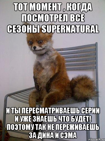 Тот момент , когда посмотрел все сезоны supernatural и ты пересматриваешь серии и уже знаешь что будет! Поэтому так не переживаешь за Дина и Сэма, Мем Упоротая лиса