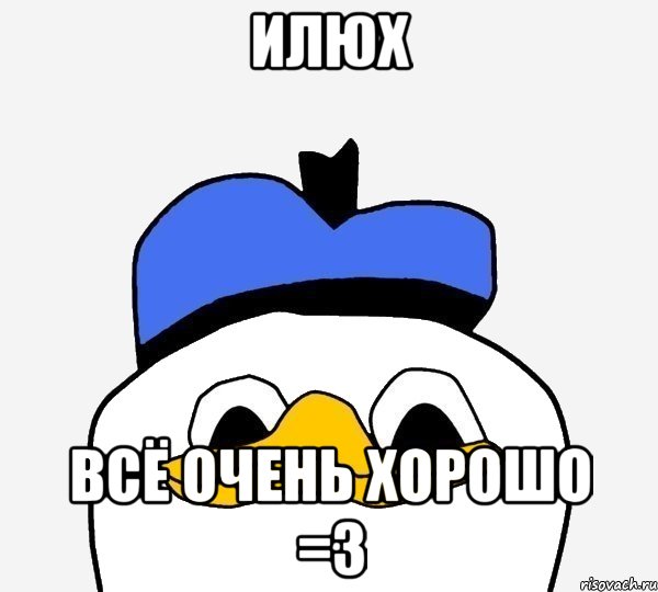 Илюх Всё очень хорошо =3