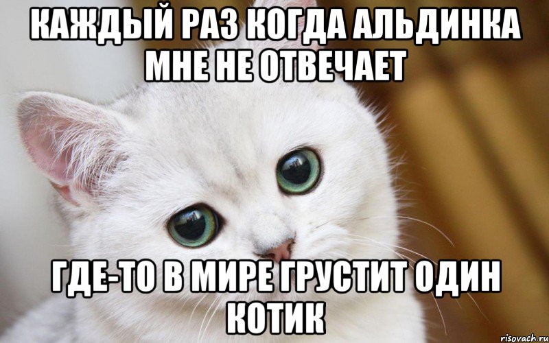 каждый раз когда Альдинка мне не отвечает где-то в мире грустит один котик, Мем  В мире грустит один котик