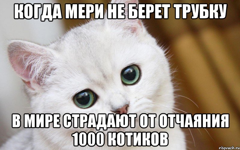 Когда Мери не берет трубку в мире страдают от отчаяния 1000 котиков, Мем  В мире грустит один котик