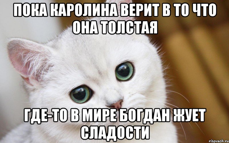 пока каролина верит в то что она толстая где-то в мире богдан жует сладости, Мем  В мире грустит один котик