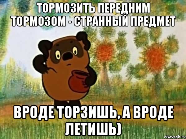 Тормозить передним тормозом - странный предмет Вроде торзишь, а вроде летишь), Мем Винни пух чешет затылок