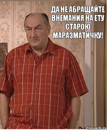 Да не абращайте внемания на ету старою маразматичку!, Комикс Николай Петрович Воронин