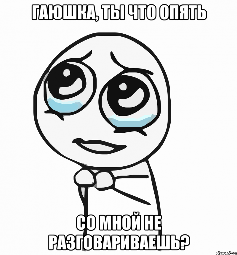 Гаюшка, ты что опять со мной не разговариваешь?, Мем  ну пожалуйста (please)