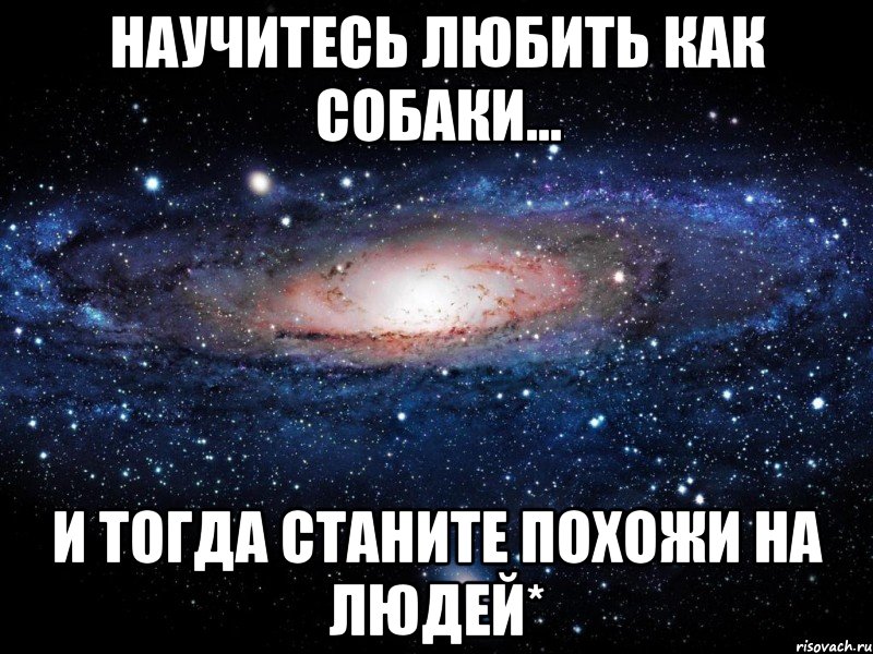 Научитесь любить как собаки... И тогда станите похожи на людей*, Мем Вселенная