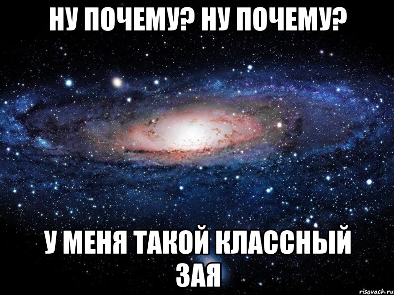 Ну почему? Ну почему? У меня такой классный зая, Мем Вселенная