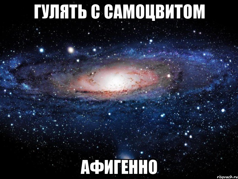 Гулять с Самоцвитом АФИГЕННО, Мем Вселенная