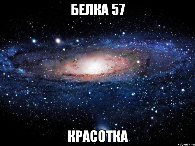 белка 57 красотка, Мем Вселенная