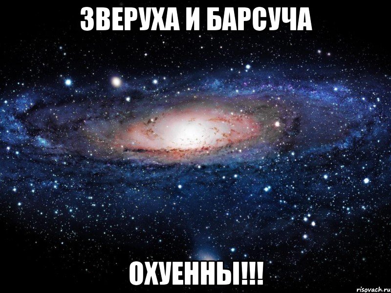 Зверуха и Барсуча ОХУЕННЫ!!!, Мем Вселенная