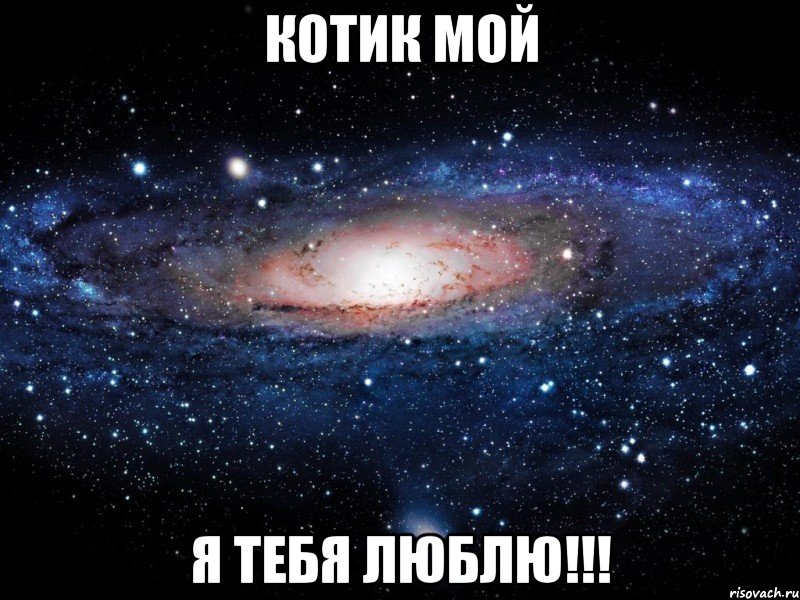 Котик мой я тебя люблю!!!, Мем Вселенная