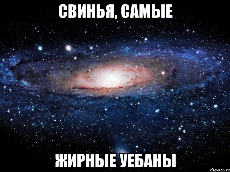 свинья, самые ЖИРНЫЕ УЕБАНЫ, Мем Вселенная