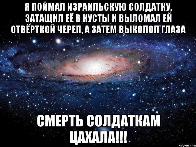 Я поймал израильскую солдатку, затащил её в кусты и выломал ей отвёрткой череп, а затем выколол глаза СМЕРТЬ СОЛДАТКАМ ЦАХАЛА!!!, Мем Вселенная