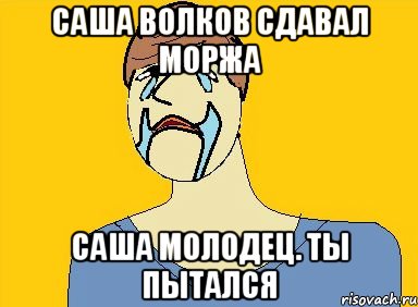 Саша волков сдавал моржа Саша молодец. Ты пытался