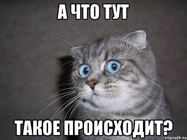 А что тут такое происходит?