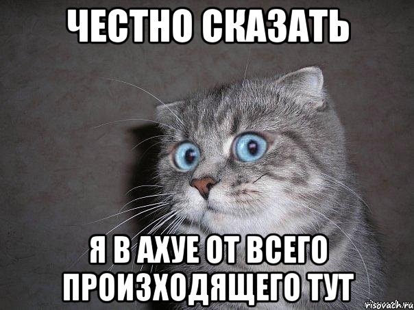 ЧЕСТНО СКАЗАТЬ Я В АХУЕ ОТ ВСЕГО ПРОИЗХОДЯЩЕГО ТУТ