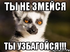 Ты не змейся Ты узбагойся!!!, Мем Я збагоен