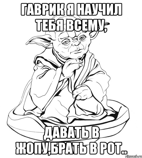 Гаврик я научил тебя всему, давать в жопу,брать в рот.., Мем Мастер Йода